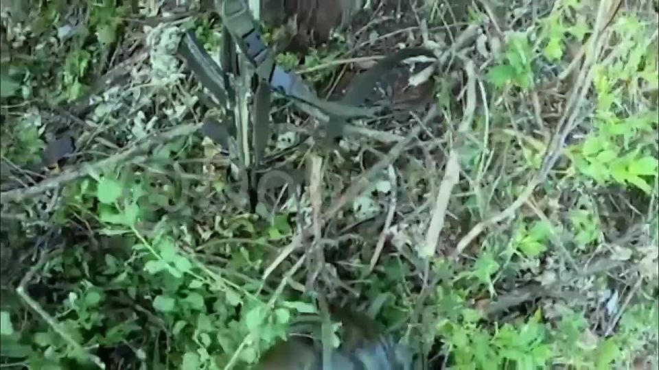 Так штурмовали позиции укронацистов в Часовом Яре!