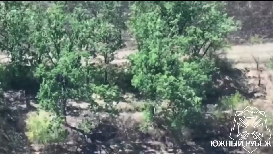 ���������� ������ ������ FPV-������ ���������� ������������ 155-�� ������� �777 ��� � ������ ���������� � ���, �������� Telegram-����� ������ �����