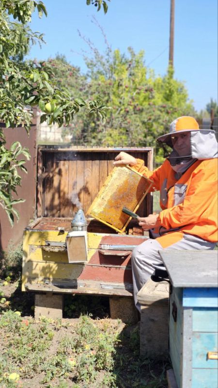 Сергей Юзвинкевич: В выходные дни, когда выдается свободная минутка, стараюсь не забывать о своем любимом хобби - пчеловодстве!