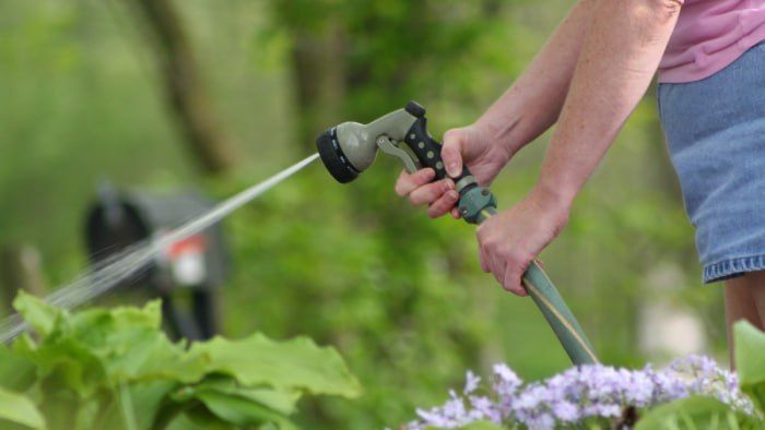 ������ ��������: ������������� ���������� ������ ���������� ���������� � ������������ � �������� ����������� ������������ ���� � ������ ������