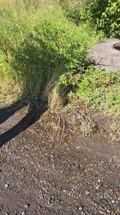 В выходные дни 2 и 3 августа депутаты Народного Совета продолжили мониторинг порывов на водоводе и борьбу за питьевую воду