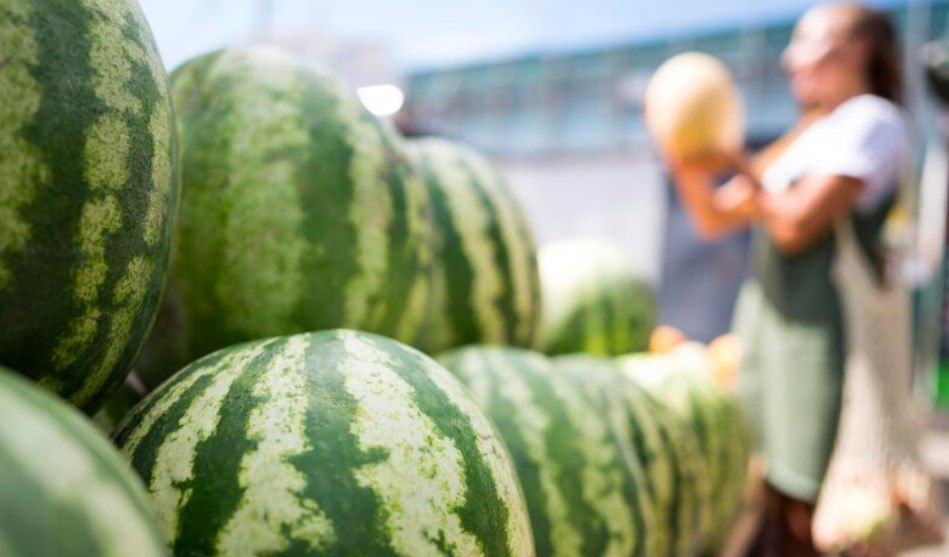 ��������� ������: ������� ������ ������ �� �������� �������� � ������