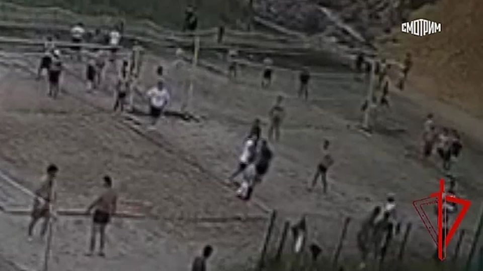 Росгвардия задержала 18-летнего иностранца, который ранил работника спортивного комплекса в подмосковном Дзержинске