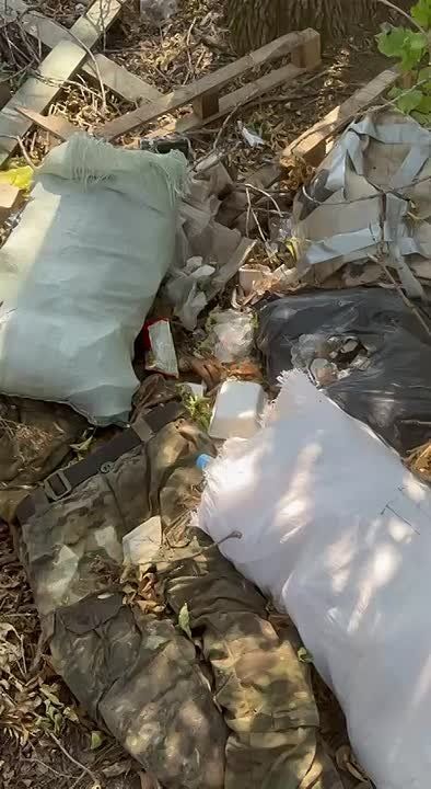 ������ �������: ����-�������� �����������. ������������ ������� ���������� ������������