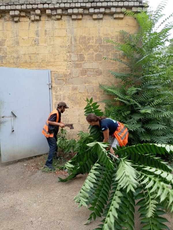 ����� ���������: �������, 04.08.2025 ����, ������ ����������� �������-������������ ����������� ������������� ���������������� ������ �. ������� ���� ��������� ��������� ������: