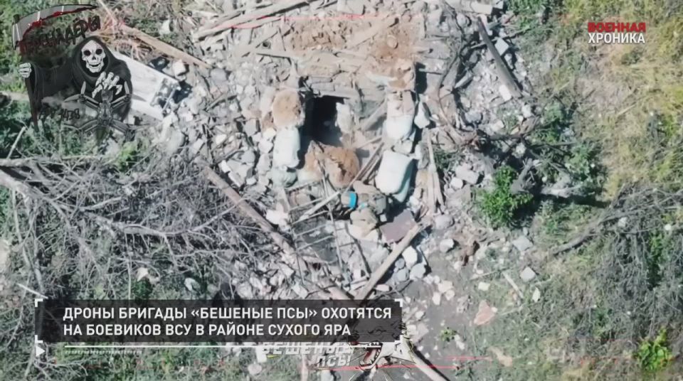 ��������� ��������: 05 ������� - ������� ����� ��� � ���������� ������� �������