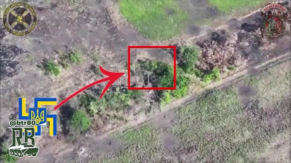 Покровское направление: усиление давления и фланговые обходы