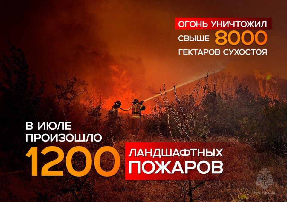 Более 1 200 ландшафтных пожаров произошло в июле на территории ДНР