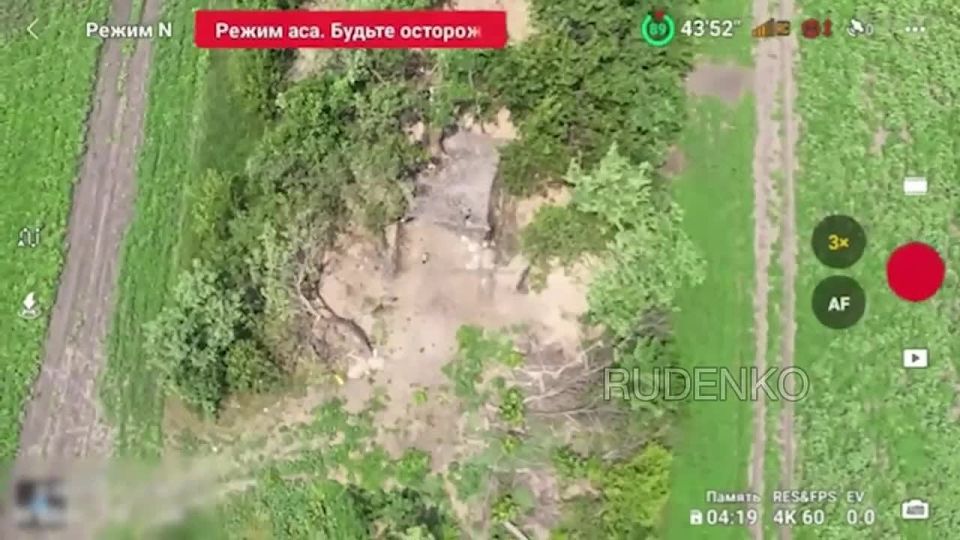 ������ �������: ��������� ���� ����������� ������� ���������� ��������������� ����� ����������� �� ����-�������� �����������