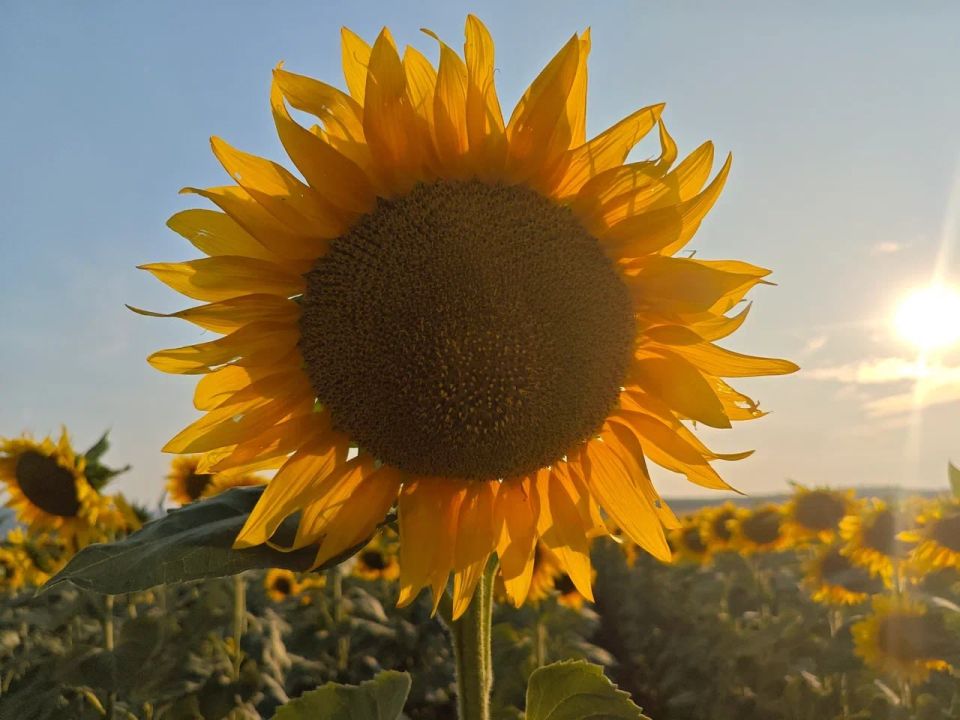 ������� � ��������� �� �������� ������������� � �������� � ���
