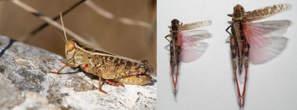 ���� ������: ���������������� ��������� �� ����������������!