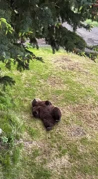 ����������� ������ � ����� ��������
