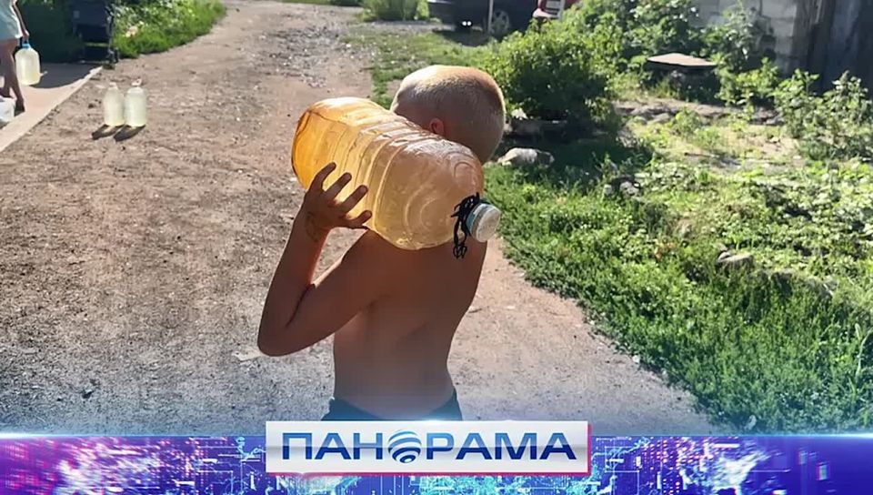 ������ ������� ������� ����� �29: ���� �� �������� �� ��� � ��������������