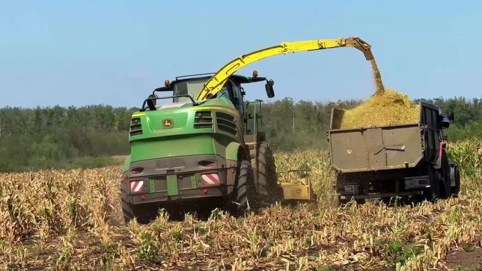 ����� ����������: ����� �� ������� ����������� �������������