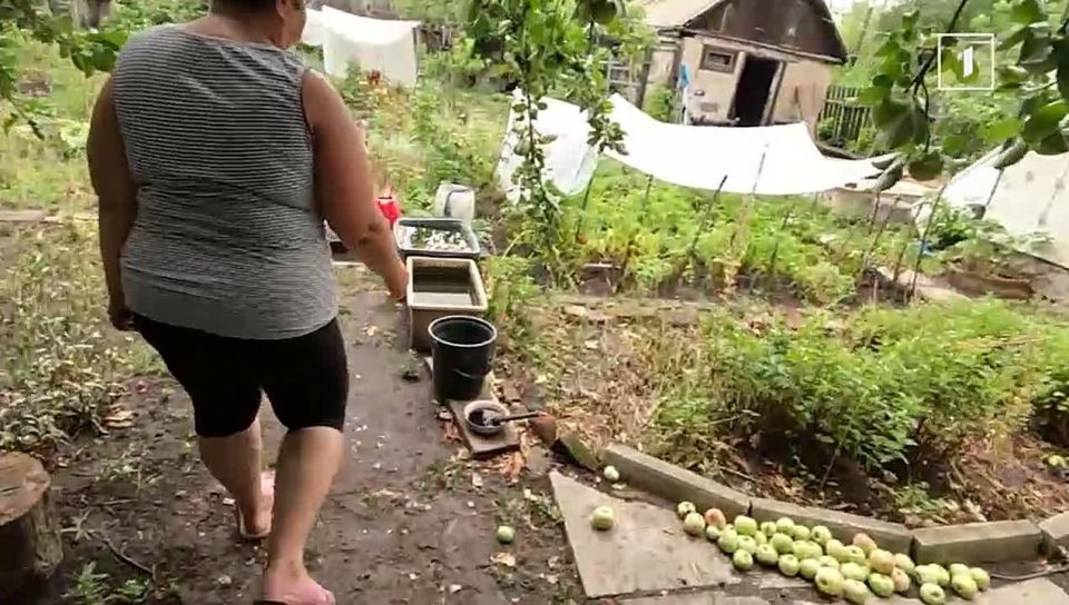������ � ������������ �������: ���������� ������ �������� ������� �� ����