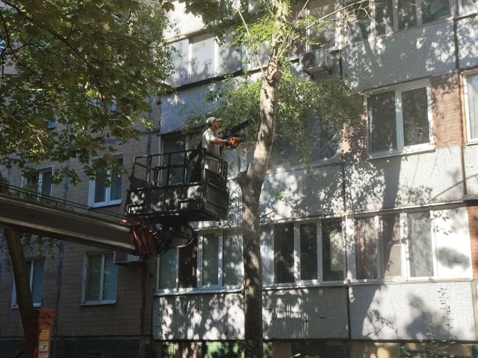 ���� ������: ���������� ������������ ��������� ����� ��� ������ ��������, � ��������� ������ ���������� ������ �� ��������������� ����������