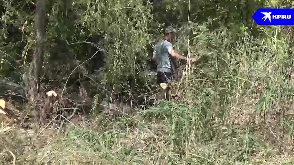 ����������� ������ �� ���������� �������� �����: � ��� ��������� ����� ���� ��������