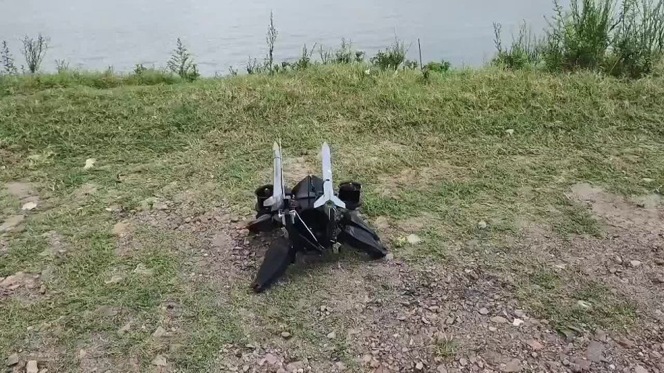 ��������� ��������� ������ �������-������ ��������� �����������