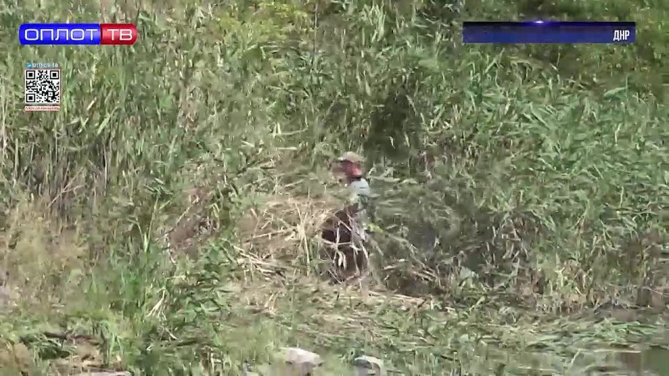 4 км траншеи за сутки. Такой темп взяли специалисты, которые строят водовод из Углегорского водохранилища