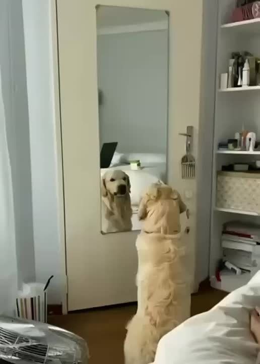 �� ������� ���� ���������� � ���� ���������