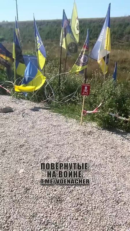 ����� � ��� �������.. ����� �� ������� ��� � ���������������� ������� ������� ������������, ������ ��� ������ ��������� ����� �� ���, ��� ���������� ������������������ ����� ���
