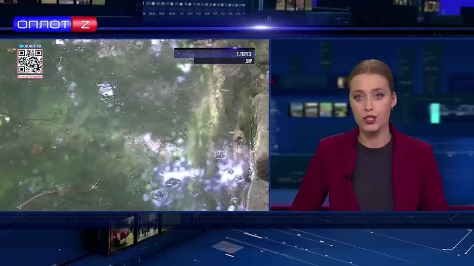 ������ ����� �������� ����