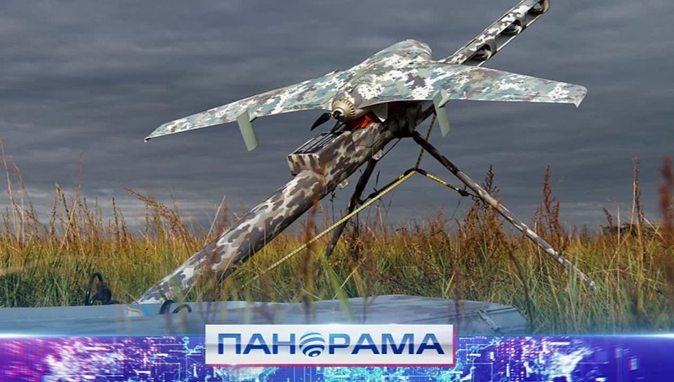 �������� ��� �����: ������ ���� ����, ������� � ����������