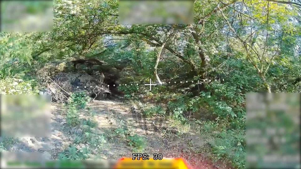 1. � ���� �������������� � ������ �.�. ����������-�������� �������� ��������� ��� ��������� ��������������� ���� �-72� ���