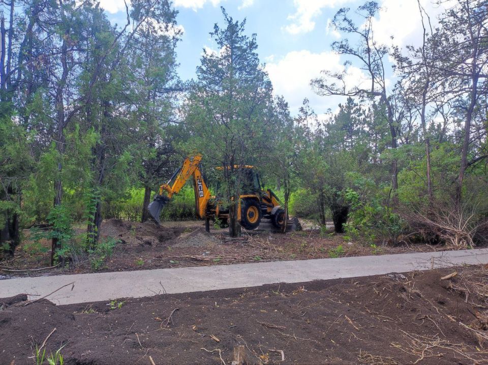 Александр Качанов: Национальный проект в действии: в Докучаевске благоустраивают парк