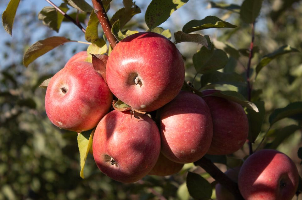 ���������������� ��� � ���������� �������� �� ����������