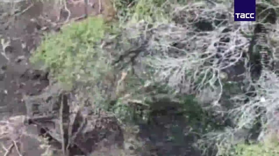 ����� "���" ���������� ������� �������� ��� �� ��������� �����������, �������� � �� ��