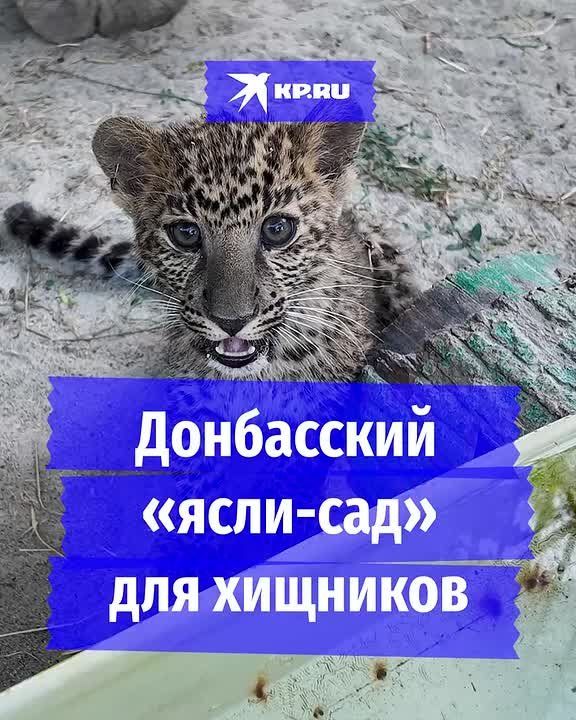 ���������� �����-��� ��� ��������: ��� � ������ ���������� ������� �� �������������� ��������