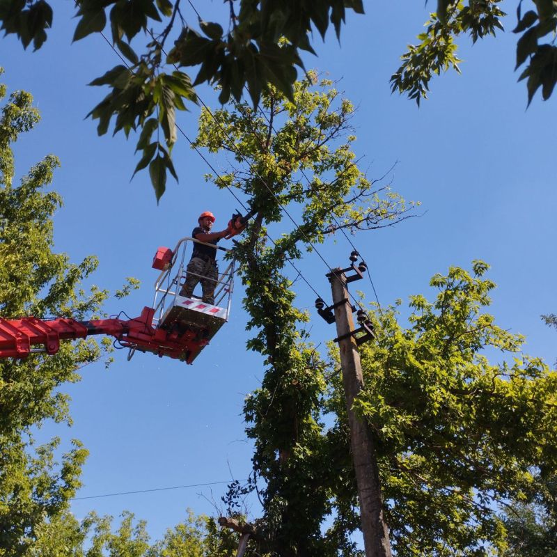 ������� ����������: ������ ����� �� ���������������� ������������