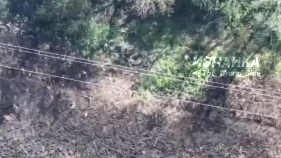 �������� ������ ���������� ������� ���