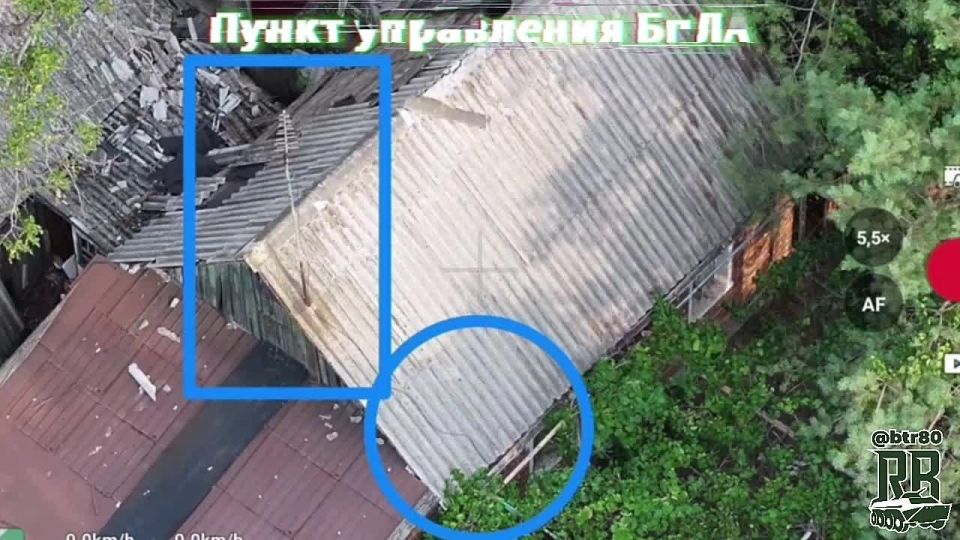 "Захисники" Димитрова снова оказались гонимы нашими "птичками"