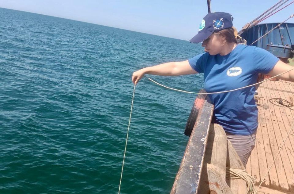 Ученые выяснят, комфортно ли тюльке и хамсе в Азовском море