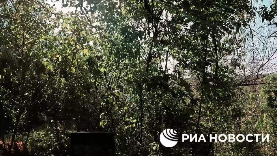 Бойцы отдельного штурмового отряда "Русь" добровольческого корпуса, действующего в составе Южной группировки войск, выбивают ВСУ из опорных пунктов в лесополосах за Часовым Яром, рассказал РИА Новости командир отряда с...