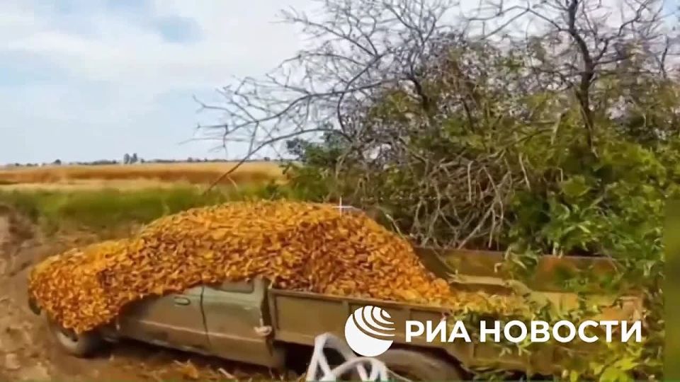 Бойцы "Южной" группировки войск ВС России сорвали ряд попыток ВСУ доставить пополнение в отошедшие от Часова Яра в район Константиновки части украинских войск, сообщили РИА Новости в пресс-центре группировки