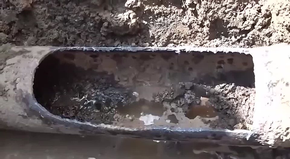 �������� ������: ����� ���� ������������ �������� ����� ��� ������ �������� �� �������, ������� ������� ���� ������� ����������, � �������� ���������������