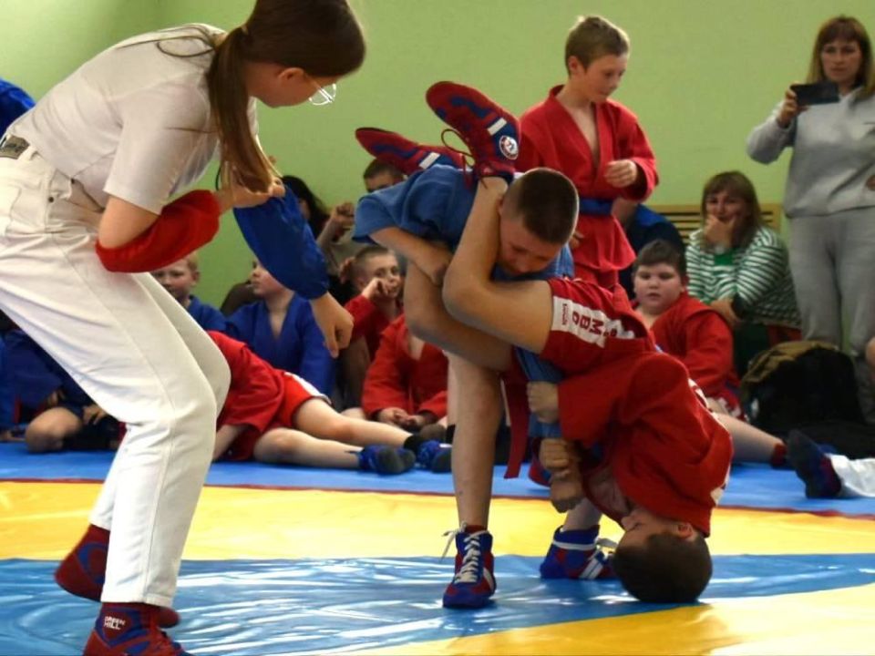 Игорь Лызов: Амурские спортсмены поделятся опытом с амвросиевцами