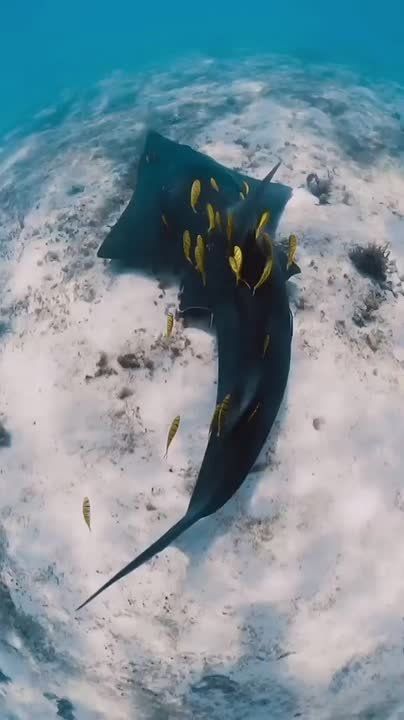 Спокойной ночи, Мариуполь!