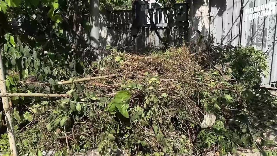 ������ �����!. �������� �������� ������� � ������������ ����� ������� ������� ������� � ���� ������� ���������� ��������� � ���� ���������