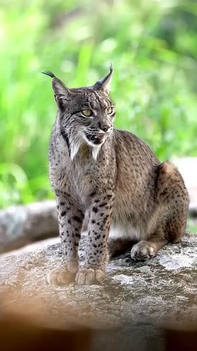 Доброе утро, Мариуполь!. Просыпаемся, улыбаемся, встречаем новый день! Пусть он будет мирным, спокойным и счастливым для всех, пусть несет с собой радость и удачу