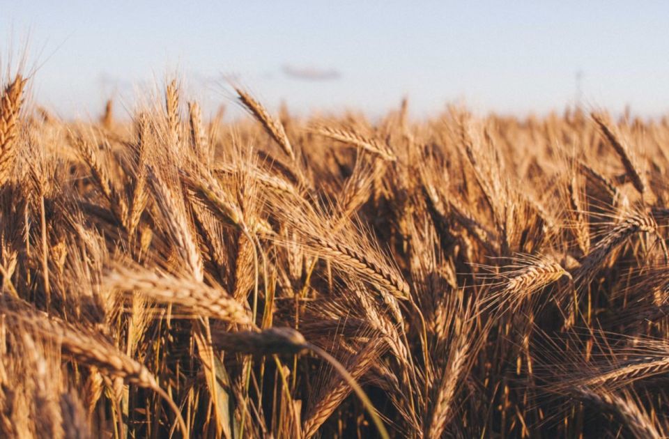 � ��� ������������� �������� ������ �� � �������� ���������