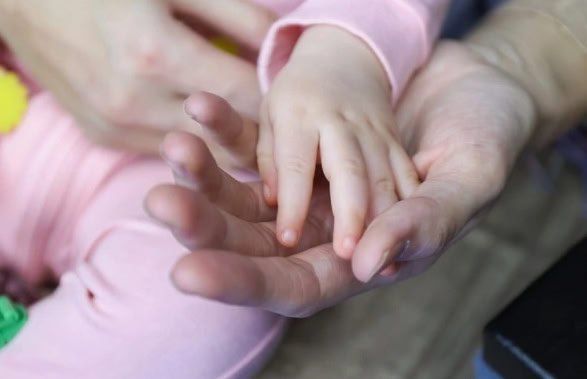 1 В Приморье увеличили выплату многодетным семьям в качестве компенсации за участок