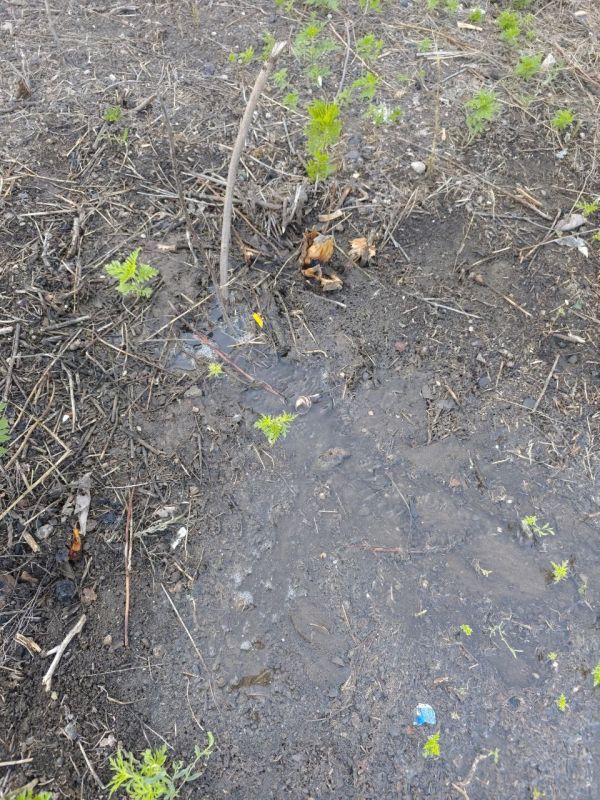 По поручению Главы ДНР Дениса Пушилина продолжается мониторинг состояния сетей водоснабжения и оперативное реагирование на аварийные ситуации