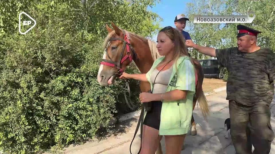 Единая Россия провела в Новоазовском муниципальном округе фестиваль арбуза