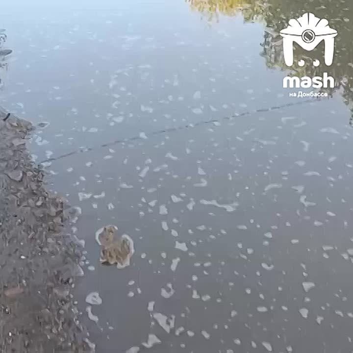 Коммунальщики ДНР как всегда: на словах отчитались о колоссальной работе, а на деле — вода продолжает заливать улицы