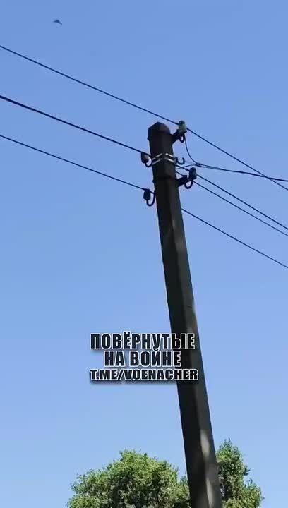 ��� ����� ���������� ����� ������� �������-2� �� ������� ��� � �.�. �����������