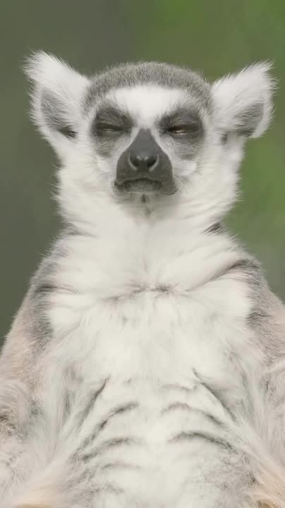 Спокойной ночи, Мариуполь!